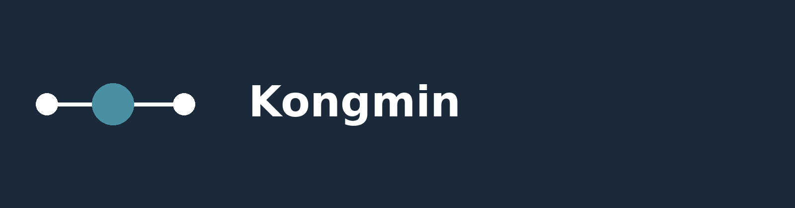 空旻 Kongmin 官方横向标识